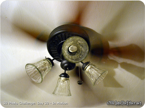 30 Day Photo Challenge: Day 30-In Motion