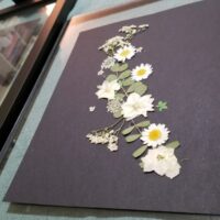 2021-02-27_Decorate-With-Pressed-Flowers (5)
